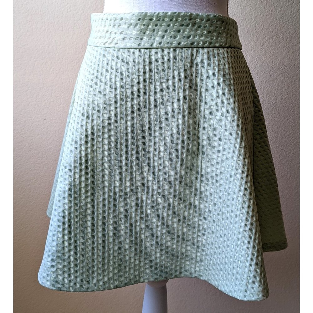 Banana Republic Mint Mini Skirt